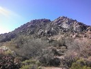 photo thumbnail #13