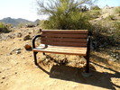 recent photo