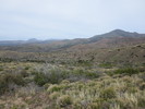 photo thumbnail #2