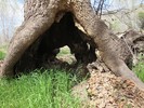photo thumbnail #10