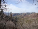 photo thumbnail #1