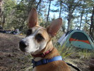 photo thumbnail #2