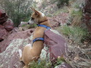 photo thumbnail #3