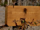 photo thumbnail #1