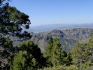 photo thumbnail #8