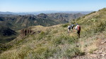 photo thumbnail #10
