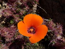 photo thumbnail #12
