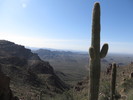 photo thumbnail #8