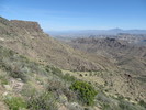 photo thumbnail #15