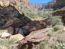 photo thumbnail #15
