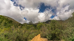 photo thumbnail #12