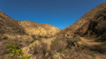 photo thumbnail #4