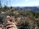 photo thumbnail #3