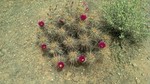 photo thumbnail #8