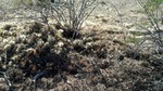 photo thumbnail #5