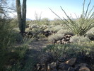 photo thumbnail #2