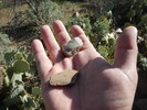 photo thumbnail #3