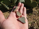 photo thumbnail #4