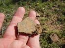 photo thumbnail #6