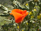 photo thumbnail #14