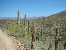 photo thumbnail #2
