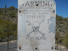 photo thumbnail #3