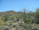 photo thumbnail #5