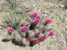 photo thumbnail #6
