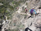 photo thumbnail #6