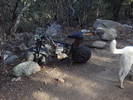 photo thumbnail #3