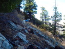 photo thumbnail #6