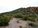 photo thumbnail #9