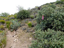 photo thumbnail #10
