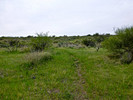 photo thumbnail #11