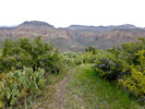 photo thumbnail #12