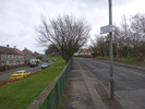 photo thumbnail #10