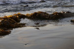 photo thumbnail #14