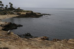 photo of comment