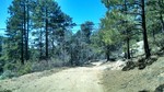 photo thumbnail #2