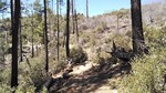 photo thumbnail #4