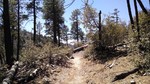photo thumbnail #6