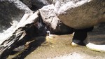 photo thumbnail #11