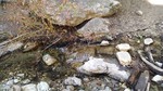 photo thumbnail #13