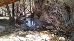 photo thumbnail #14