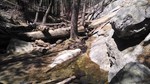 photo thumbnail #15