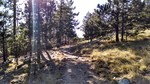 photo thumbnail #2