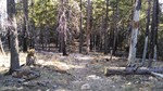 photo thumbnail #4