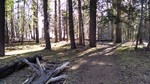 photo thumbnail #5