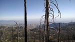photo thumbnail #7