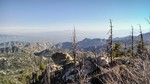photo thumbnail #11